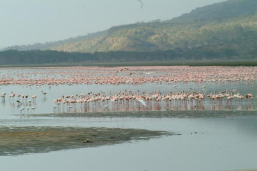 africa3 004