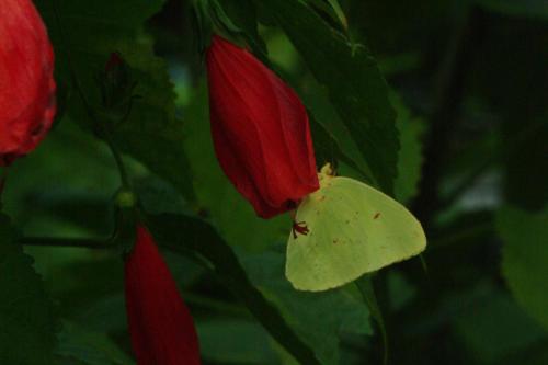 DSCF0047